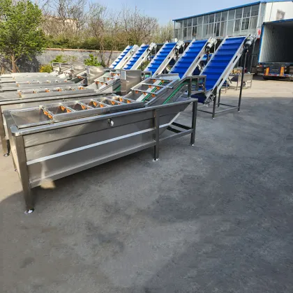 Vegetable and Fruit Cleaning Washing Machine