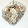 Scatola Gabion a rete metallica rivestita in PVC