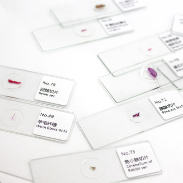Medical Prepared Animals Tissue Specimen Set - 100 Teaching Slides FRT2005
