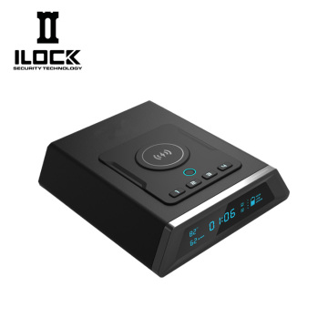Slide-out Gun Safe WX008