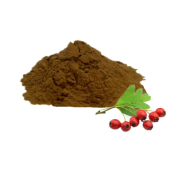 Vente chaude Hawthorn Feuilles de poudre