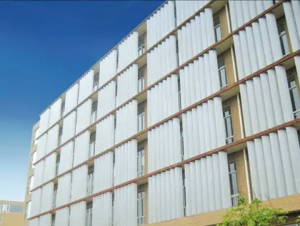 PS-S Aeroscreen Sun Shade/ Sun Lover