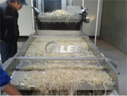 Hot Sale Bean Sprout Cleaning Machine & Mung Bean Sprout Washing Machine: Efficient Solutions for Agricultural Processing