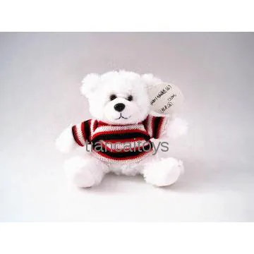 white cute sweater promotioanal teddy bear
