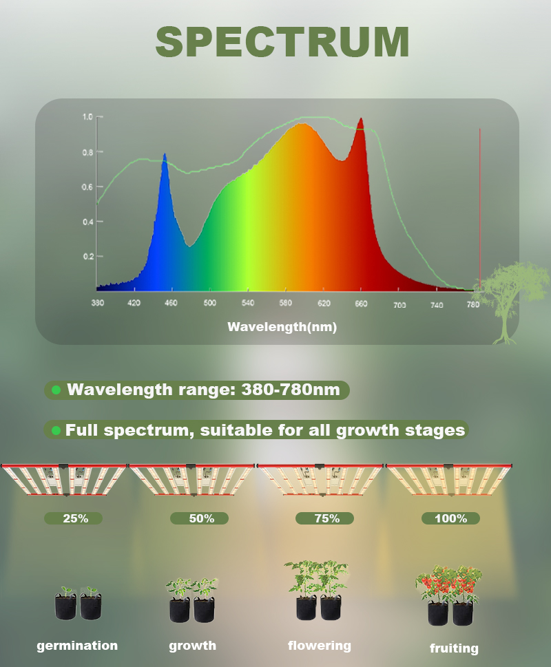 실내 수경 800W 전체 스펙트럼 LED가 빛을 발합니다