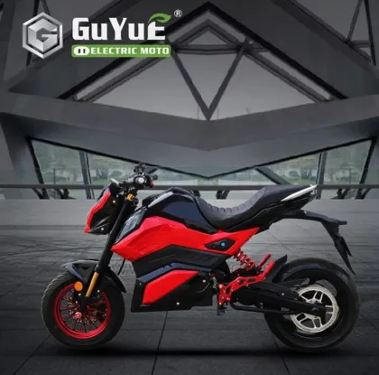 Fat Tire Electric Motorcycle