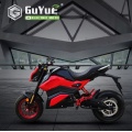 Fat Tire Electric Motorcycle