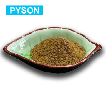 Lemon Balm Leaf Extract Powder ประโยชน์สำหรับการนอนหลับ