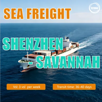 Sea Freight from Shenzhen to Savannah United States