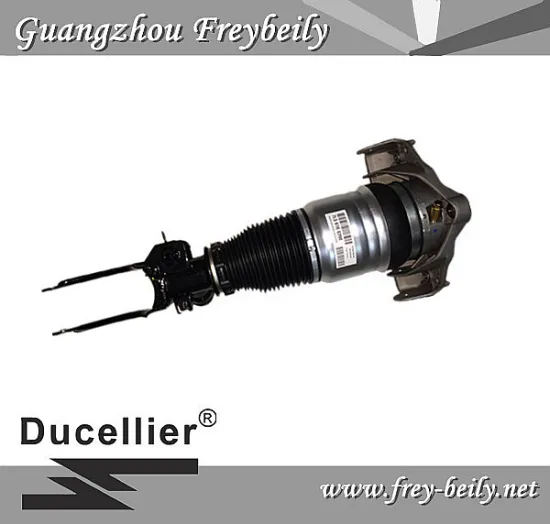 Audi Q7 Volkswagen Tourage Porsche Cayenne Left Front/ Right Front Air Suspension Shock 7L6616039D/ 7L6616040D