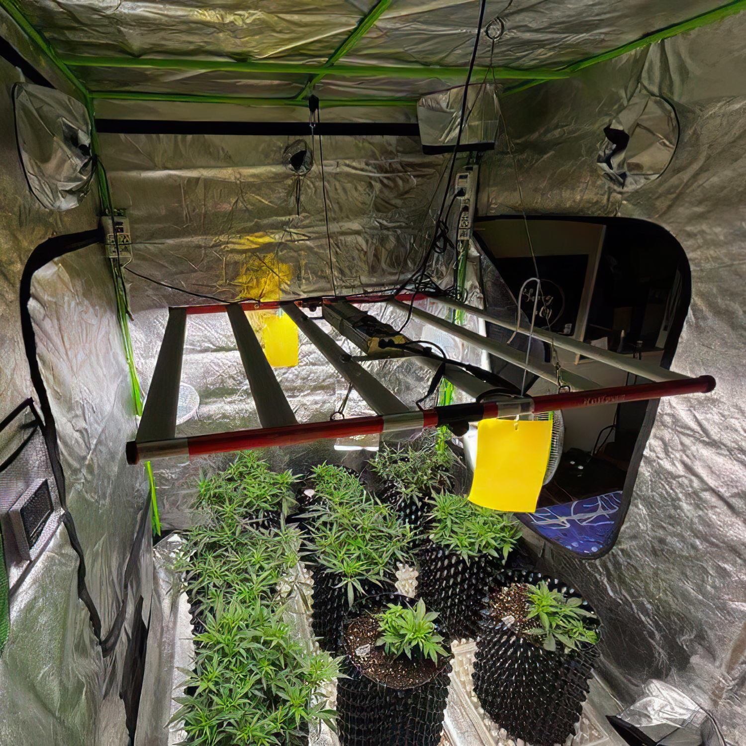 650w led grow light