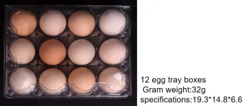 12 Holes Clear Egg Box Plastic Egg Tray