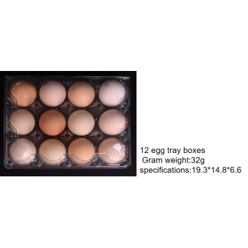 12 Holes Clear Egg Box Plastic Egg Tray