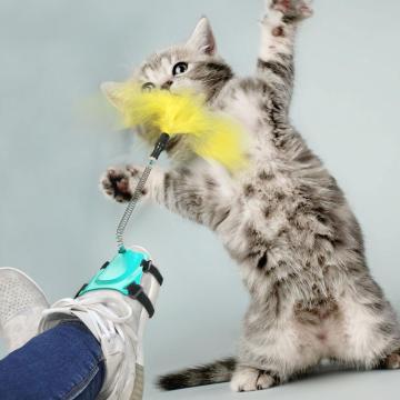 Pólo de treinamento para gato