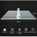 Full Spectrum LED Grow Light 800W i lager