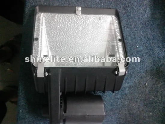 Halogen scoop light with pole