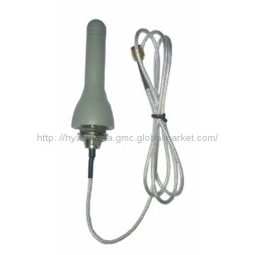 2dBi 3G Antenna With SMA Male Connector (factory)