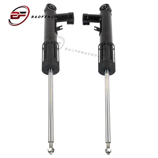 VW CC Rear Air Suspension Shock Absorber 5N0512009H 5N0513009H