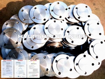 Leere erhabene Fläche Flache Fläche ANSI B16.5 FLANSCH