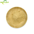 Premium Honeysuckle Extract