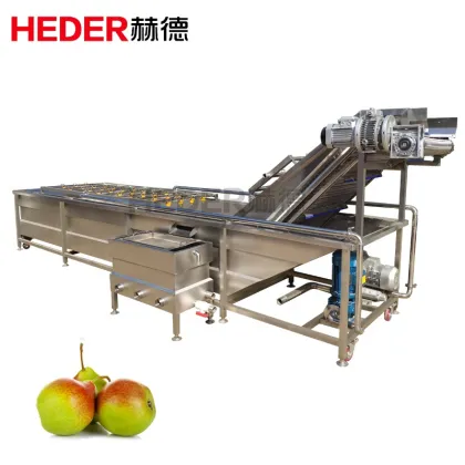 High Pressure Fresh Ginger Washing Machine Price