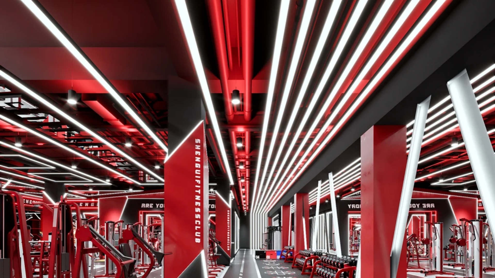 The Steps to Designing a Luxury Gym