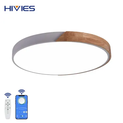 Colorful LED Ceiling Light for Living Room