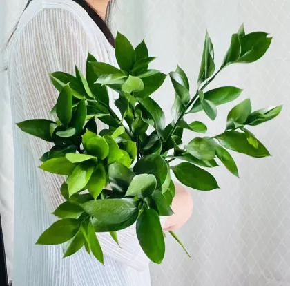 Kunming Flower Market: Wholesale Fresh Cut Flowers and Greenery