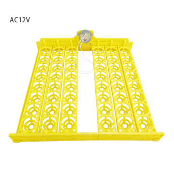 48 Egg Capacity Mini Poultry Incubator Machine