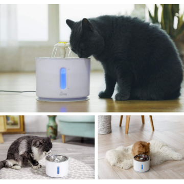 Fontaine d&#39;eau de chat en acier inoxydable