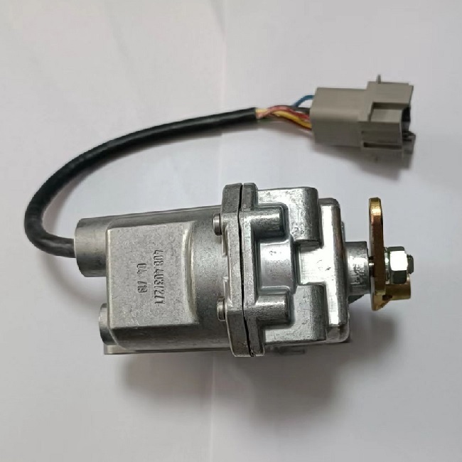 Electronic Throttle Motor DCE80-100 425817.8371 A31473.0100