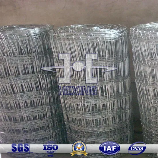 Galvanized Sheep/Horse/Cattle Enclosure Grassland Fence Roll
