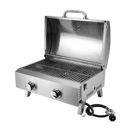 Stainless Steel 2 Burners Professional Gas Barbecue Grill