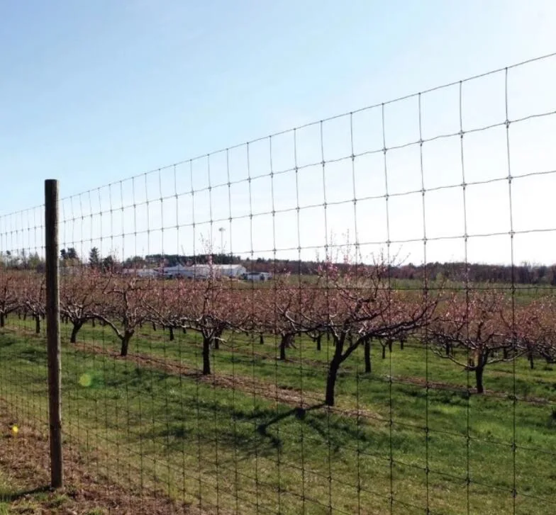 Fence de prairies et clôture de champ agricole de garde agricole