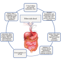 Aditivos alimentarios de fibra dietética de buena calidad polydextrosa