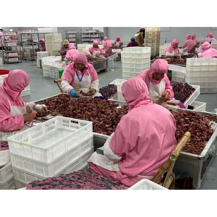 Świeże odżywianie Świetna klasa piersi z kurczaka