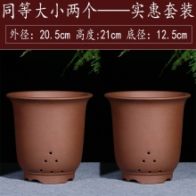 Purple Clay Boutique Orchid Bonsai Pot