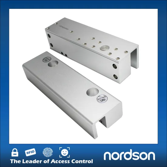High Security Aluminum Alloy Frameless glass door electric bolt lock