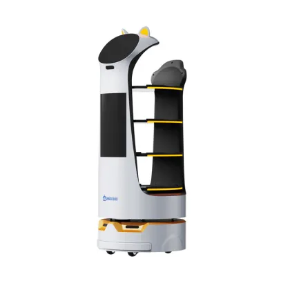 Commercial Delivery Robots for Sale: Source Factory Robot Waiters