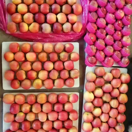 fresh delicious high quality honey fuji apples