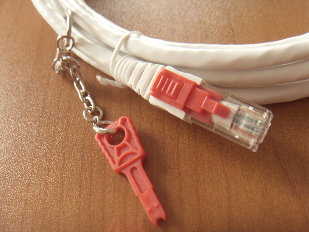 Locking Patch Cord With Key