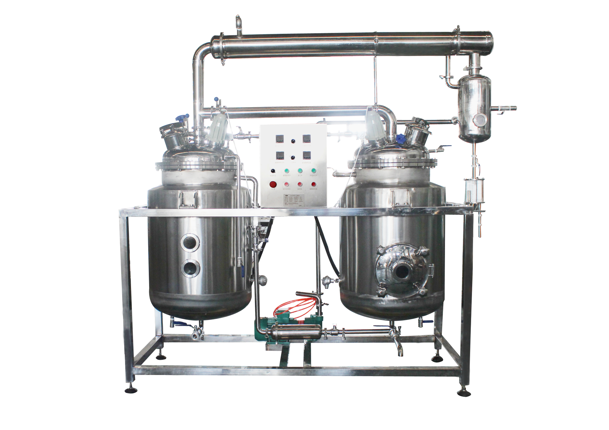 Black Garlic Extract Machine