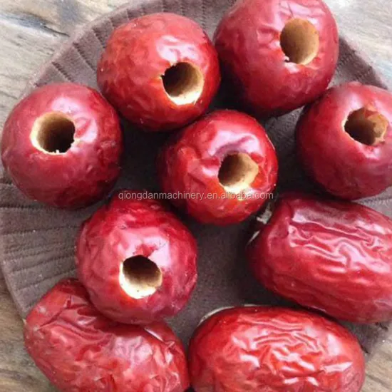 Stone Fruit Kernel Extracting and Seed Removing Machine