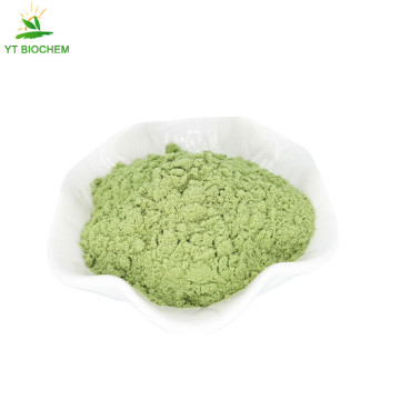 100% pure natural kale extract organic kale powder