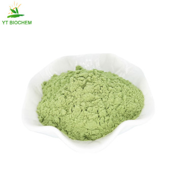 Food ingredients organic super greens kale powder