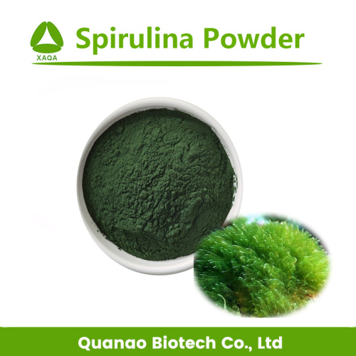 China Super Food Blue Spirulina Extract Powder Supplier