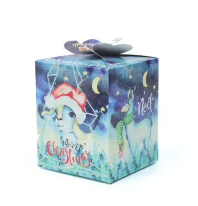 Christmas Apple Packaging Gift Box Food Packaging Box