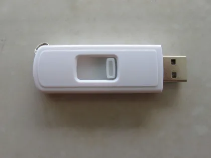 8gb Sandisk Fastest Promotional Usb Flash Drive U Disks Reviews (my-u016)