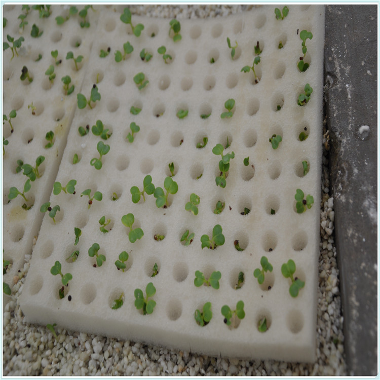 Skyplant Nursery Sponges Hydroponics Planting Sponge for Planting