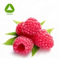 98% Raspberry Keton Powder rood frambozenextract